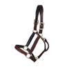Billy Royal Saratoga Padded Leather Halter for Horses | Grade A Hand-Rubbed Leather | Padded Comfort Design | Adjustable Fit | Brass Hardware for Everyday Use | Size Full Size view 1