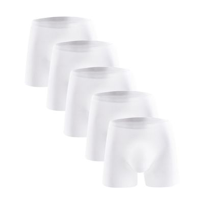 JEsilunmaMY Mens Ice Silk Thin Boxer Trunks Lightweight Breathable Mid Waist Boxer Briefs Soft Comfortable Stretch Underwear (White-5PC,3X-Large)
