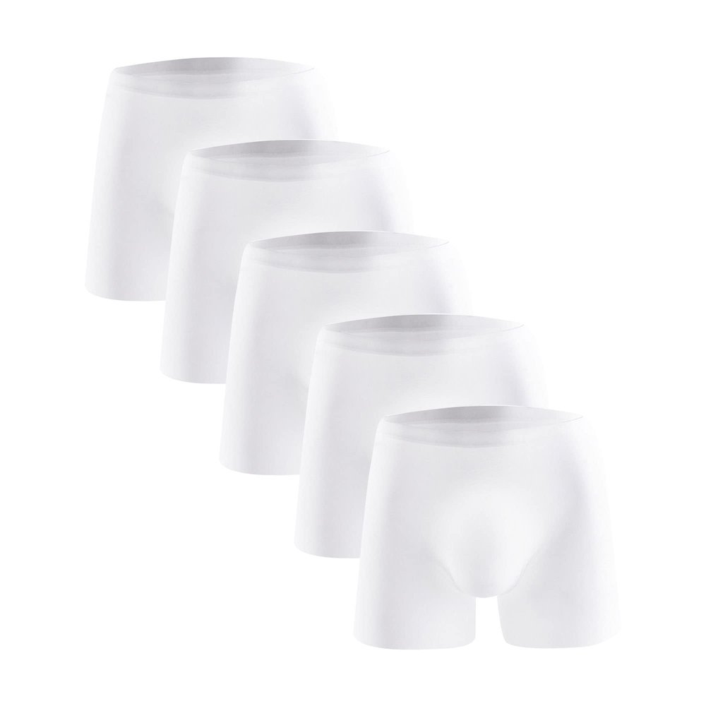 JEsilunmaMY Mens Ice Silk Thin Boxer Trunks Lightweight Breathable Mid Waist Boxer Briefs Soft Comfortable Stretch Underwear (White-5PC,3X-Large)