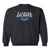 CornBorn Florida Atlantic Owls Apparel Men Sweatshirt - Crewneck FAU Owls Winning in Paradise - Black - XL view 1