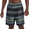 Speedo Mens Hydro Volley Swim Shorts Black (as1, Alpha, x_l, Regular, Regular, Gray Stripe) view 1