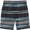 Speedo Mens Hydro Volley Swim Shorts Black (as1, Alpha, x_l, Regular, Regular, Gray Stripe) view 3