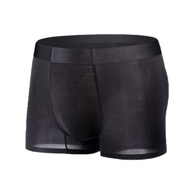 JEsilunmaMY Mens Mesh Sheer Boxer Trunks Quick-Drying Lightweight Boxer Brief Ice Silk Breathable Support Pouch Underwear (Black-1PC,X-Large)