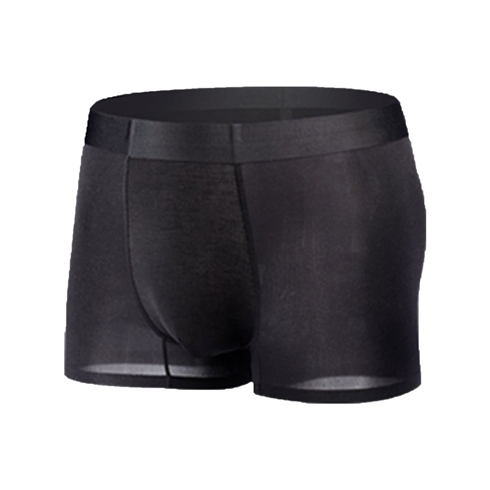 JEsilunmaMY Mens Mesh Sheer Boxer Trunks Quick-Drying Lightweight Boxer Brief Ice Silk Breathable Support Pouch Underwear (Black-1PC,X-Large)