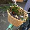 1pc Children's Bicycle Basket Front Handlebar Bike Basket Bike Accessories Pe Imitation Rattan Material Women's view 3