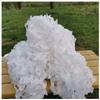 AITAF Camo Netting White 1m 2m 3m 4m Camouflage Net, Bulk Roll Sunshade Mesh Nets for Hunting Blind Shooting Military Theme Party Decorations Awnings for Patios 5mx4m (Size : 4m x 6m) view 4