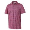 Golf Shirts for Men Dry Fit Short Sleeve Print Performance Moisture Wicking Polo Shirt view 1