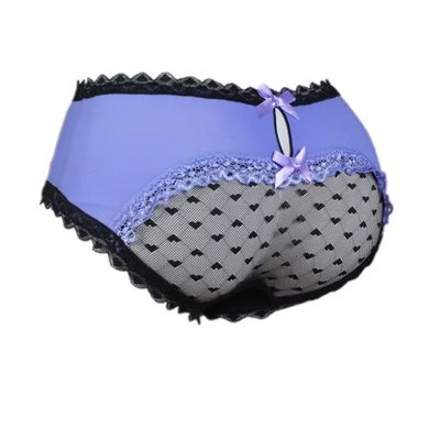 aishani Sissy Pouch Panties Men's Hipster Lace Bikini Briefs Lingerie Underwear,L Violet