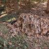 LOOGU Camo Netting, Camouflage Net Blinds Great for Sunshade Camping Shooting Hunting view 4