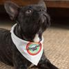 Pawsitively Pet Bandana - Pet Items - Retro Items - L view 3