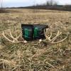 Pure Whitetail Clover/Chicory | Select Seed Blends | All Season Whitetail Deer & Turkey Perennial Food Plot Seed | Drought Resistant | Easiest Turkey & Deer Feeders | 5 lb Bag Plants 1 Acre | 3-Pack view 3