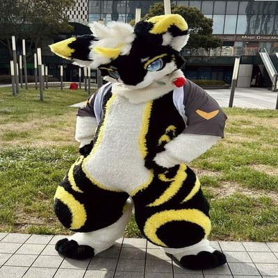 Professional Japan Style Animie Halloween Fancy Dress Fursuit Birthday Party Mascot Costume Fursuit Furry Costume Birthday Party Fancy Dress Halloween Cosplay Birthday Party Cosplay Gift