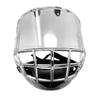 FV100 Hockey Visor Clear view 3