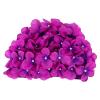 Vintage Swim Cap Flower Floral Petal Swimming Hat Retro Style Bathing Caps Women Swim Hat Long/Short Hair view 1