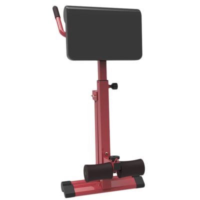 WAHHWF Roman Chair Back Extension for Tall Men, Heavy Duty Folding Roman Chair Hyperextension Ab Bench Exercise Equipment for Home Gym, Loads 330lbs (Color : Red)
