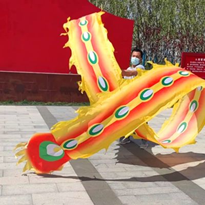 CALMR 3D Dragon Dance Ribbon Slope Dragon Throw Streamer Silk-Like Flowy Chinese Dragon Ribbon Streamer + Travel Bag