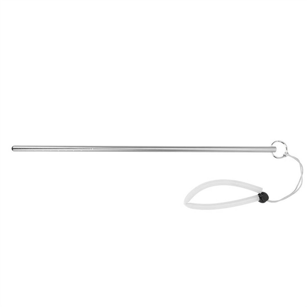KiheNe Diving Stick Aluminium Alloy Lobster Stick Pointer Rod with Rubber Lanyard Strap Underwater Diving Rod Noise Maker Lanyard Rod (Color : Silver, Size : A)