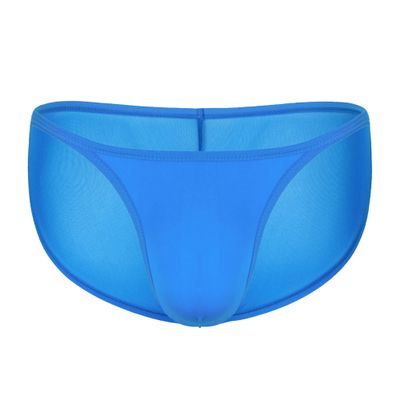 JEsilunmaMY Mens Mesh Sheer Casual Bikini Briefs Low Rise Breathable Pouch Underwear Solid Color Lightweight Thin Underpants (Blue-1PC,Small)