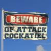 Abipuir Car Flags for Room Beware of Attack Cockatiel Flag Funny Bar Decor Cool Stuff for Your Room (Size : 60X90CM) view 2