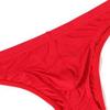JEsilunmaMY Men's Low Rise Bulge Pouch Briefs Ice Silk Breathable Sexy Bikini Underwear Solid Color Stretch Underpants Brief (Red-5PC,Medium) view 2