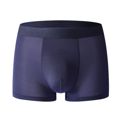 Mens Ice Silk Boxer Mesh Boxer Briefs Underwear Breathable Athletic Sports Transparent Trunks Sexy Underpants (Blue-1PC,L)