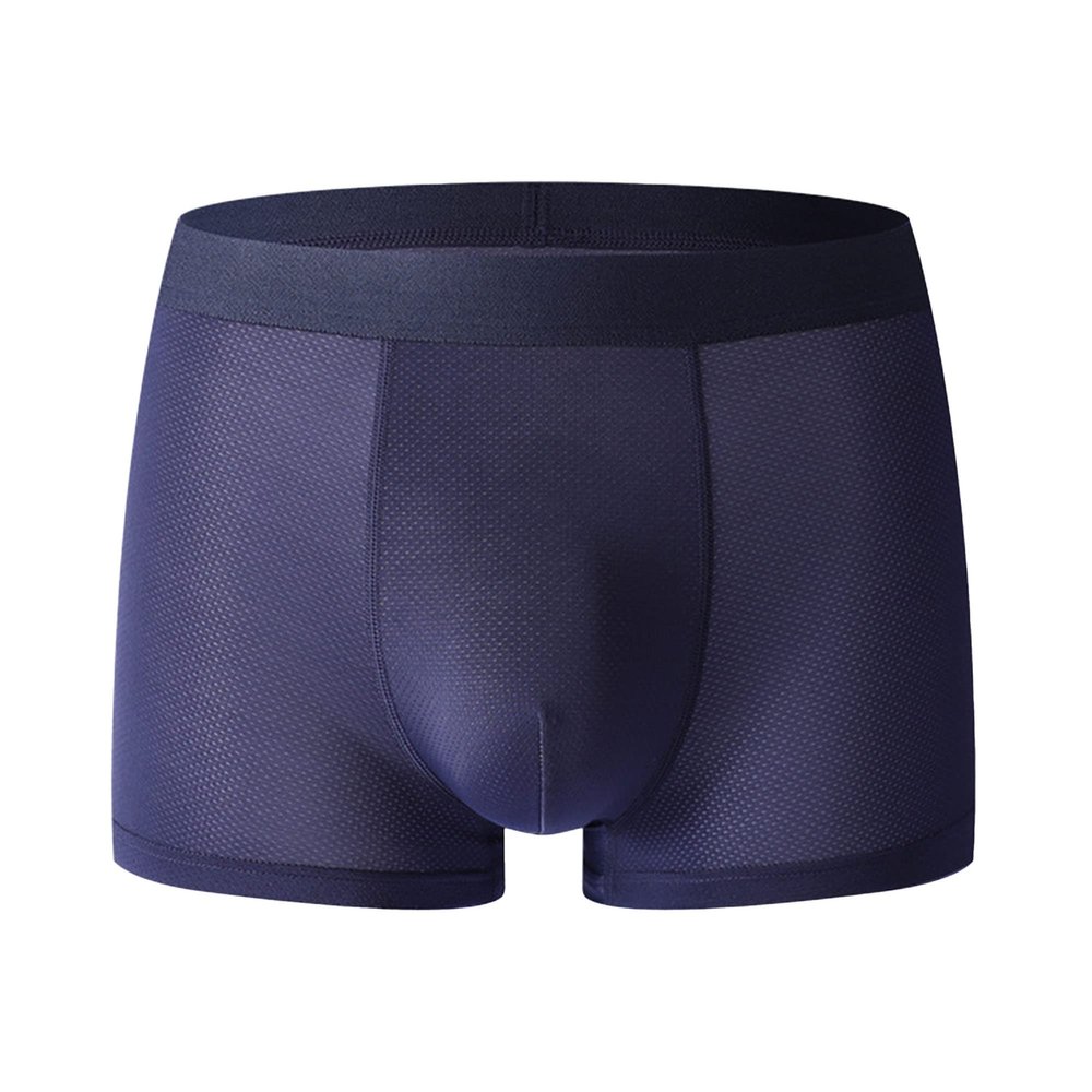 Mens Ice Silk Boxer Mesh Boxer Briefs Underwear Breathable Athletic Sports Transparent Trunks Sexy Underpants (Blue-1PC,L)