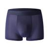 Mens Ice Silk Boxer Mesh Boxer Briefs Underwear Breathable Athletic Sports Transparent Trunks Sexy Underpants (Blue-1PC,L) view 1