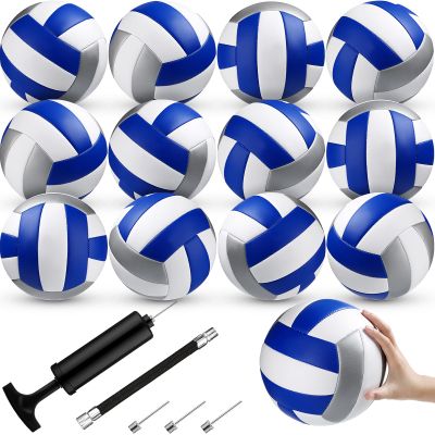 Wettarn 12 Pcs Official Size 5 Volleyballs Bulk Soft Recreational Volleyballs with Pump Regulation Size for Beginner Indoor Outdoor Beach Gym Pool Sand Sport (White,Blue,Silver)