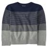 The Children's Place Boys' Long Sleeve Sweater, Grey Stripe Crew Neck, Large view 1
