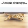 Trail Camera 20MP 4K, Game Camera with Motion Latest Sensor View, 40pcs LEDs and IP66 Waterproof 2.4'' LCD, Silence Image Capture, for Wildlife Tracking Home Security Photo Video Model view 4