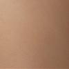HUE Women's So Silky Control Top Sheer Tights With Invisible Reinforced Toe, Tan - 2 Pair Pack, 3 view 3