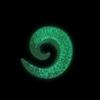 Glass Ear Tapers Spiral Taper Plugs Earrings 10mm - 00G Glow in The Dark Spiral Ear Gauges Plug Hanging Taper Stretchers Expander Piercing Jewelry view 2