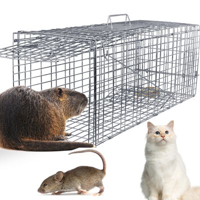 31" Humane Live Animal Cage Trap, Heavy Duty Folding Cat Trap for Stray Cats, Raccoons, Squirrels, Skunks, Groundhogs, Moles, Opossums, Rabbits, and More Catch and Release