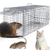 31" Humane Live Animal Cage Trap, Heavy Duty Folding Cat Trap for Stray Cats, Raccoons, Squirrels, Skunks, Groundhogs, Moles, Opossums, Rabbits, and More Catch and Release