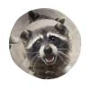 Cute Raccoon Bucket Hats Fashion Sun Cap Packable Outdoor Animal Fisherman Hat for Women and Men view 4