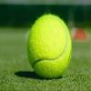 MEDIEVALCRAFTS Solid Tennis Balls Set of 12 Balls Recreation Ball in Green Colour for Playing Professional Tennis and Cricket Matches & TOURNAMENTS view 2