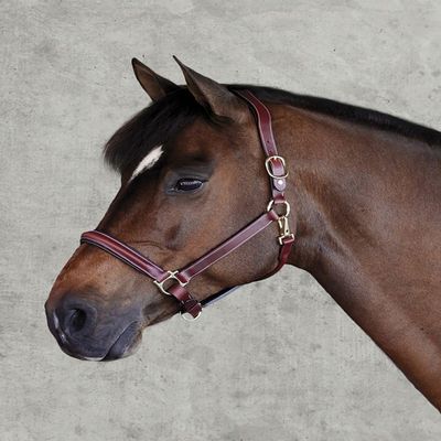 Dover Saddlery Ergonomic Halter - Oakbark - Oversize-O/S