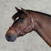 Dover Saddlery Ergonomic Halter - Oakbark - Oversize-O/S view 1