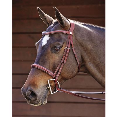 Dover Saddlery Ergonomic Hunter Bridle - Oakbark - Oversize-O/S