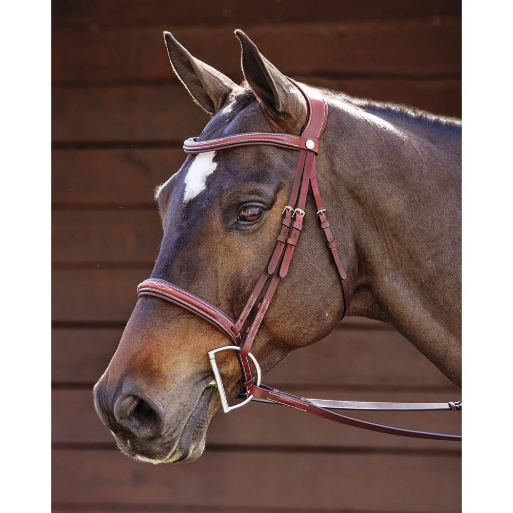 Dover Saddlery Ergonomic Hunter Bridle - Oakbark - Oversize-O/S