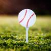 Dilwe Balls,Sport Themed Balls Sports Practicing Balls Accessory for Competition Usage Sports Lovers view 4