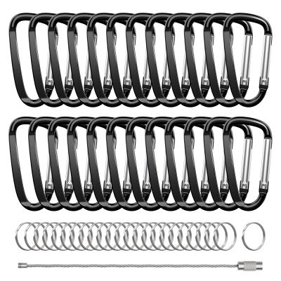 XIECHANEE 2.4" 24pcs Small Carabiner Clip Keychain, Aluminum D Ring Shape Clips with Keyring Keychain Hook