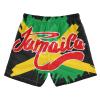 Aflyko Patriot Boys' Board Shorts Jamaican Flag Doodle Swim Trunks Bathing Suit Girls Beach Swimwear Quick Dry Swimming Shorts Jamaica Independence Day All Day Shorts Gym Shorts L view 2