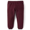 Gymboree,and Toddler Fleece Jogger Sweatpants,Rustic Redwood,4T view 2