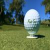 Flat-Tee Golf Tee (1/4 (6.35mm), Red) view 2