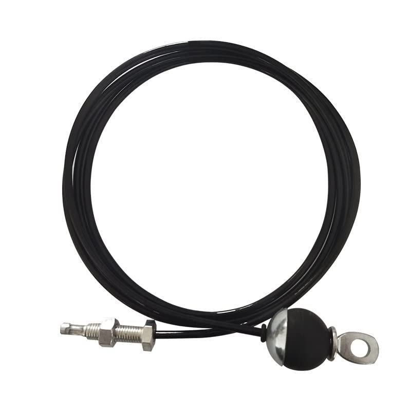 Custom Length Steel Fitness Cable, Thick 5mm Steel Wire Rope for Home Gym Cable Pulley Machine (Color : C, Size : Custom)