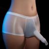 YONGHS Men's Sissy Panties Ice Silk Seamless Underwear Oil Shiny Underpants Transparent Boxershorts White One Size view 3