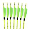 annastar 30" Carbon Feather Arrows Practice Hunting Arrows Spine 300 340 400 500 600 700 800 for Recurve Bow & Compound Bow (12 pcs) (30inch Spine 800, Neon Green) view 2