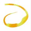 Start Magic Curly Silicone Necktie, 27, ShimaShrimp Chart SK view 1