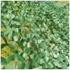 Camo Netting 1m 2m 3m 4m Camouflage Netting, with Mesh Backing, Military Nets, Army Sunshade Net, Lightweight, Durable, for Hunting, Duck Blind, Car Cover, Photograph, Party Decoration ( Size : 1m x 3 view 3